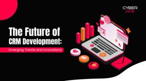 CRM development company Calgary